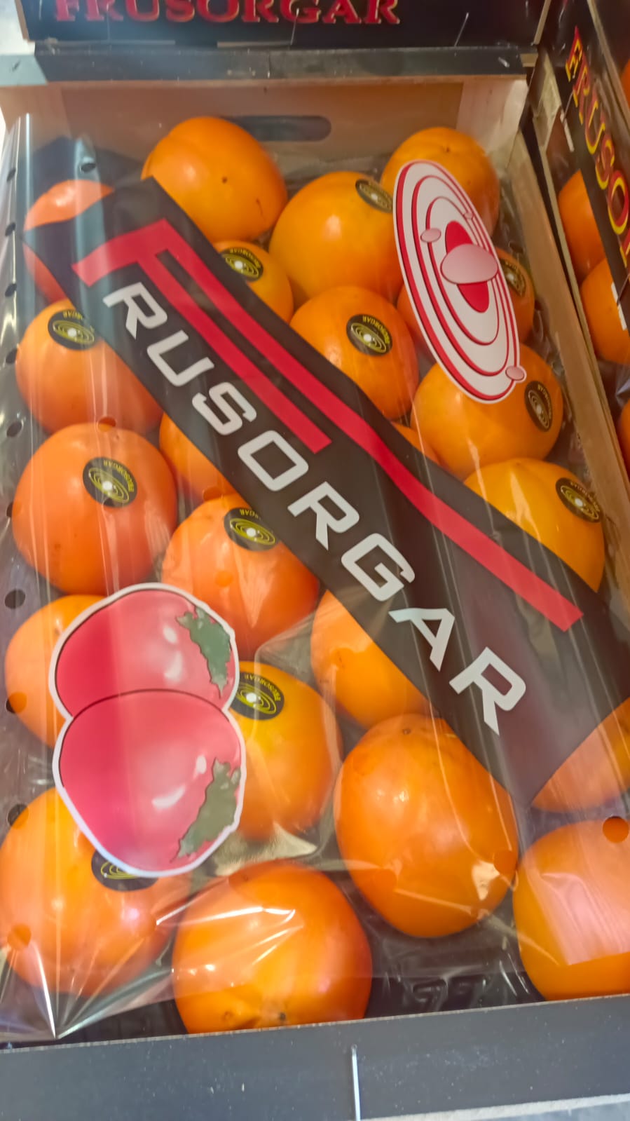 FRUITS EDU
