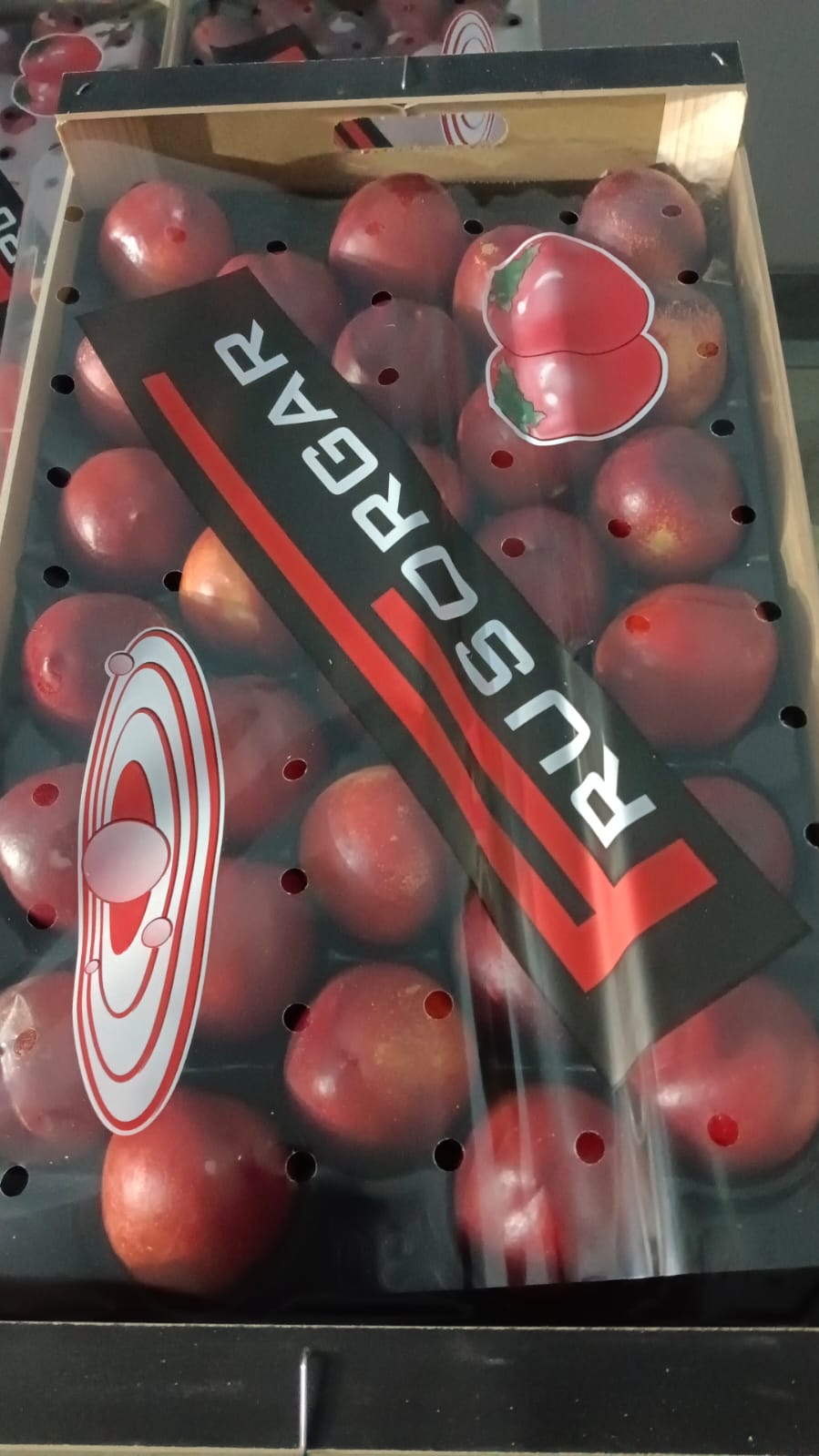 fruta edu