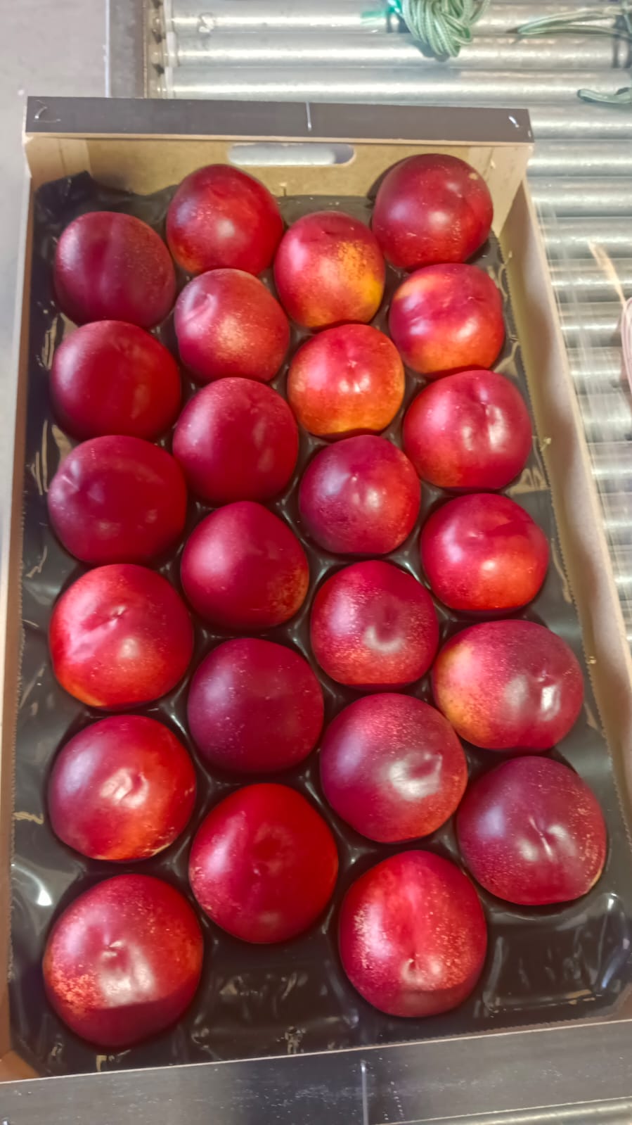 fruta edu2